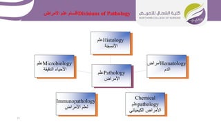 Divisions of Pathology
‫األمراض‬ ‫علم‬ ‫أقسام‬
11
Microbiology
‫علم‬
‫الدقيقة‬ ‫األحياء‬
Immunopathology
‫األمراض‬ ‫لعلم‬
Chemical
pathology
‫علم‬
‫الكيميائي‬ ‫األمراض‬
Hematology
‫أمراض‬
‫الدم‬
Histology
‫علم‬
‫األنسجة‬
Pathology
‫علم‬
‫األمراض‬
 