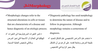 Morphology
‫شكل‬
Morphologic changes refer to the
structural alterations in cells or tissues
that are characteristic of a disease and
hence diagnostic of an etiologic process.
 •
‫التغيرات‬ ‫إلى‬ ‫المورفولوجية‬ ‫التغيرات‬ ‫تشير‬
‫المرض‬ ‫تميز‬ ‫التي‬ ‫األنسجة‬ ‫أو‬ ‫الخاليا‬ ‫في‬ ‫الهيكلية‬
‫المسببة‬ ‫العملية‬ ‫تشخيص‬ ‫وبالتالي‬
.
Diagnostic pathology has used morphology
to determine the nature of disease and to
follow its progression. Although
morphology remains a cornerstone of
diagnosis.
 •
‫لتحديد‬ ‫التشكل‬ ‫علم‬ ‫التشخيصي‬ ‫األمراض‬ ‫علم‬ ‫استخدم‬
‫تقدمه‬ ‫ومتابعة‬ ‫المرض‬ ‫طبيعة‬
.
‫التشكل‬ ‫أن‬ ‫من‬ ‫الرغم‬ ‫على‬
‫التشخيص‬ ‫في‬ ‫الزاوية‬ ‫حجر‬ ‫يظل‬
.
 