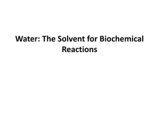 Water: The Solvent for Biochemical
Reactions
 