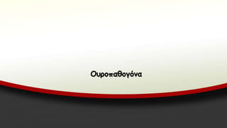 Ουροπαθογόνα
 