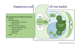Παράγοντες κινδύνου υψηλής ΑΠ στα παιδιά
Μη τροποποιήσιμοι παράγοντες κινδύνου
• Γενετικά
• Ενδομήτρια Ζωή
• Χαμηλό βάρος γέννησης
• Προωρότητα
• Νοσήματα εγκύου μητέρας
• Προεκλαμψία/Υπέρταση
• Διαβήτης κύησης
• Παχυσαρκία
• Κάπνισμα
• Φυλή
Falkner and Lurbe, Hypertension, 2020
 