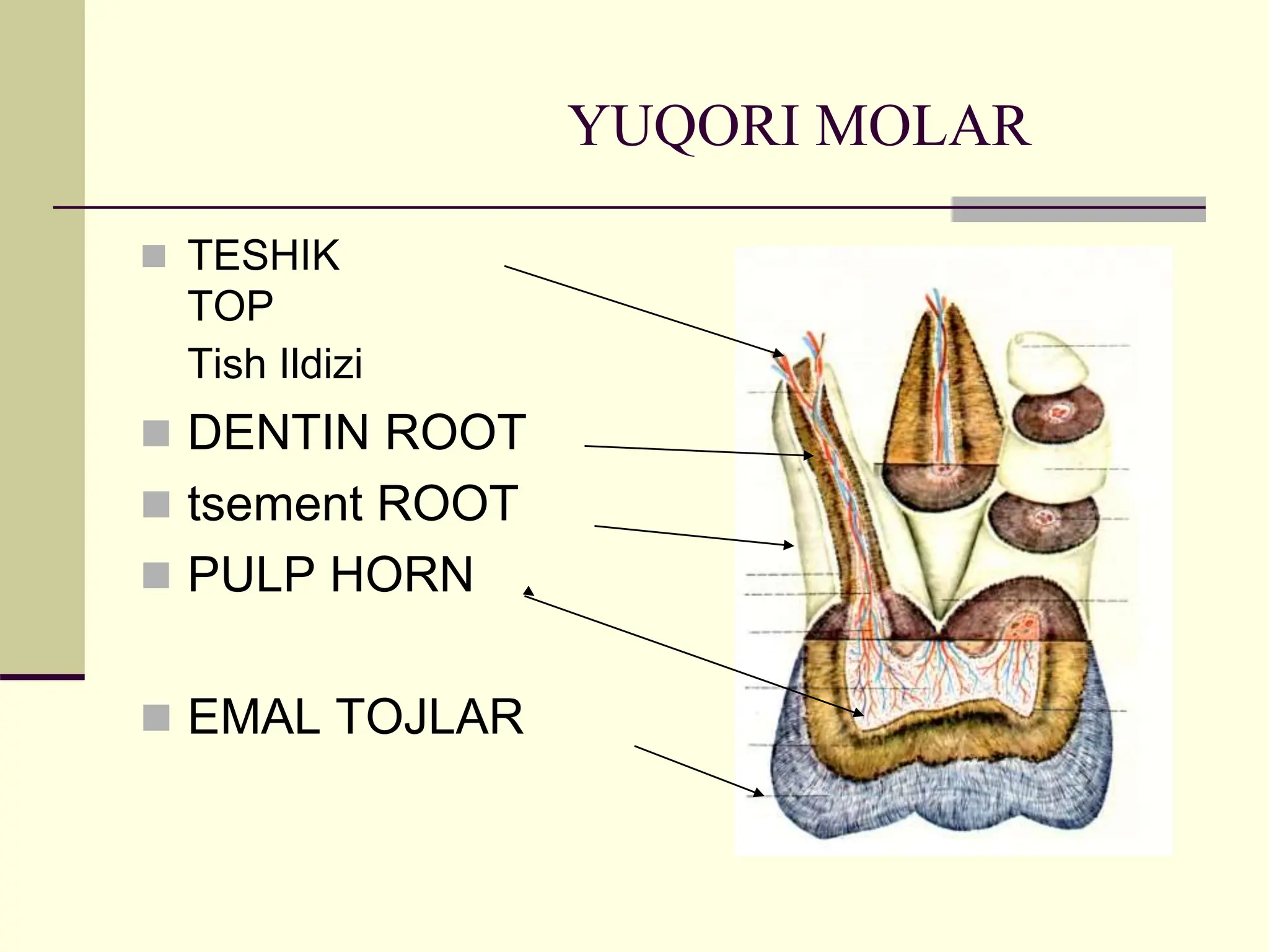 Birinchi shaxs onanizmi