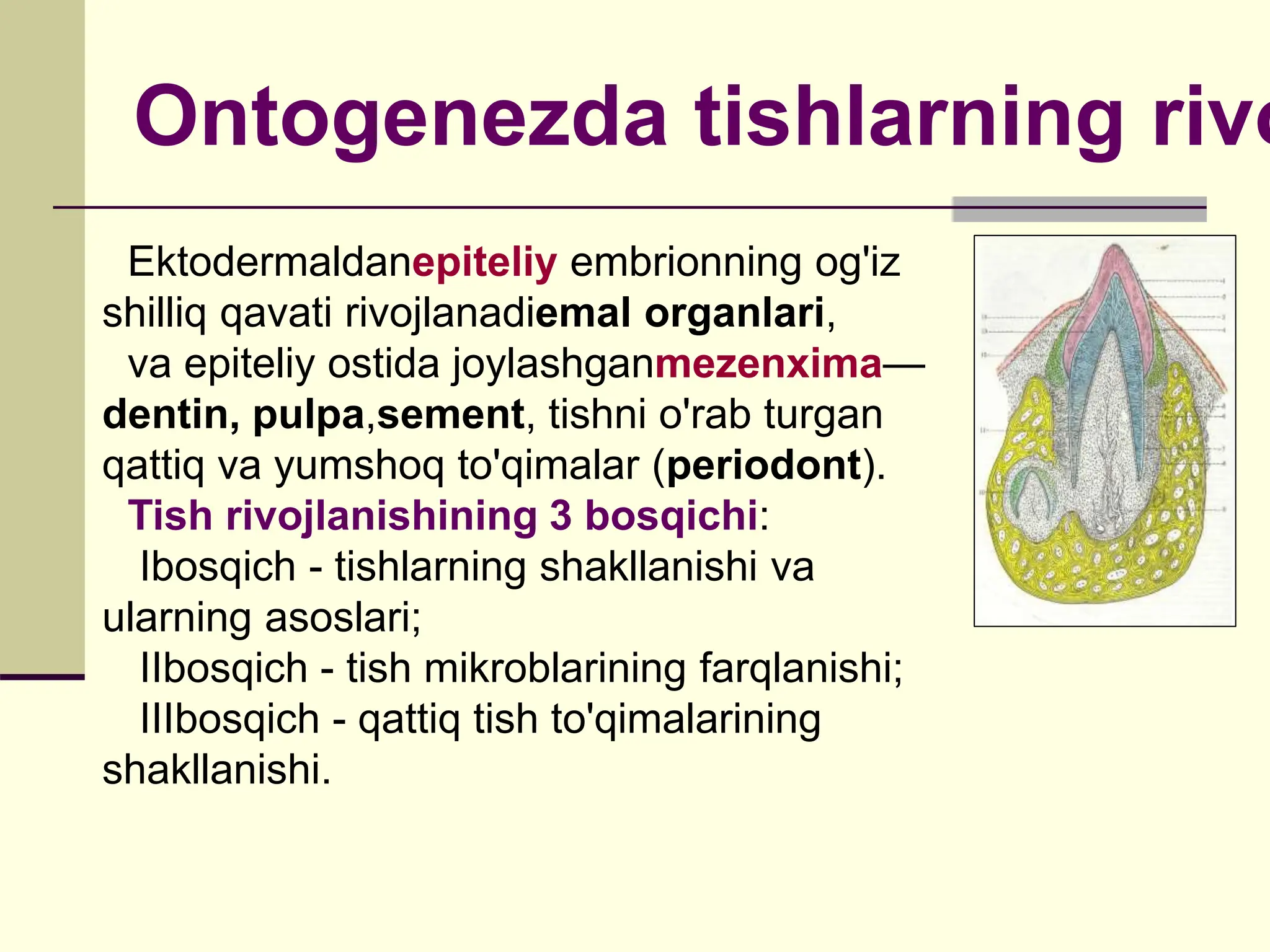 Men bir qizni roziligisiz sikdim. Tajriba uchun erkak jinsi