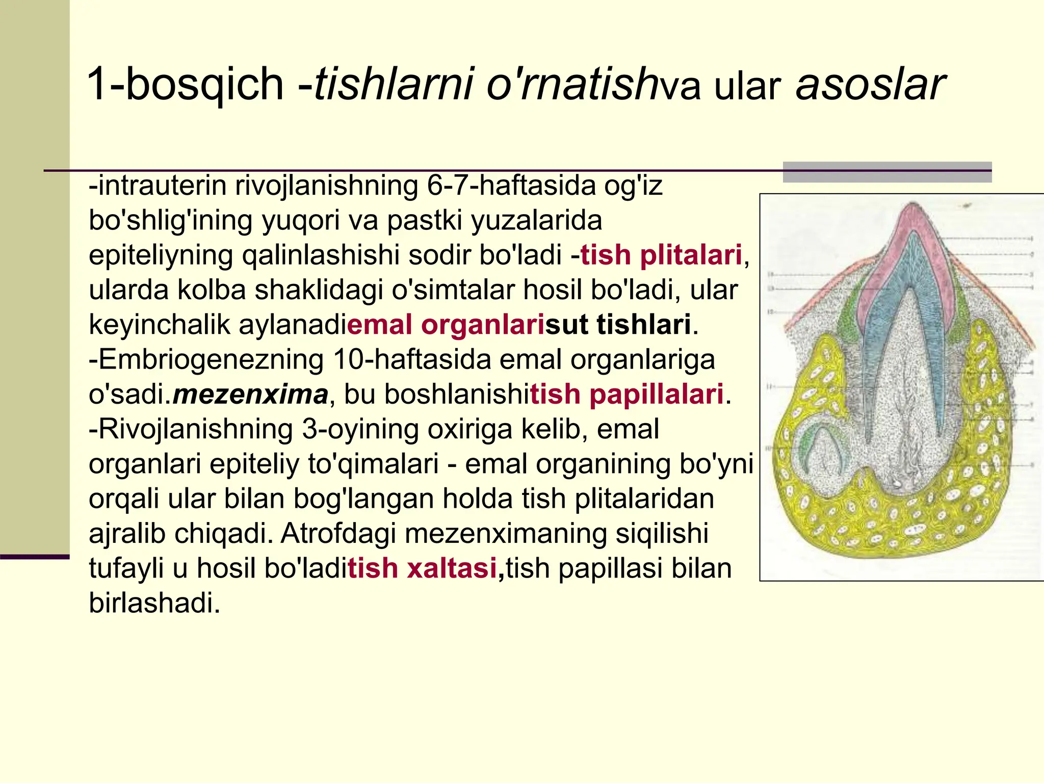 U rezina ayolni sikadi.