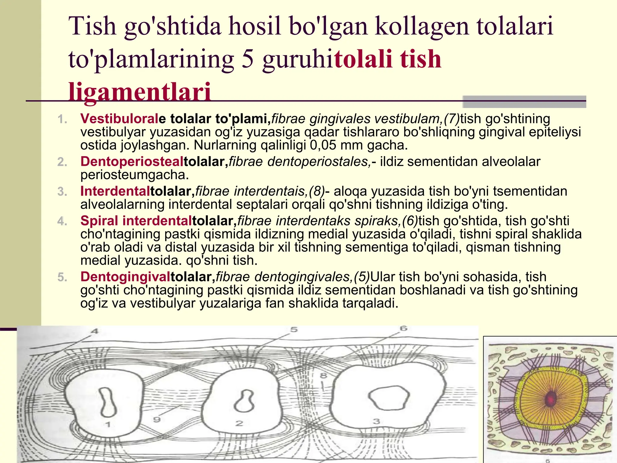 Isroilda pornografiya qonuniy hisoblanadi. Busty yosh rus qizlar porno video