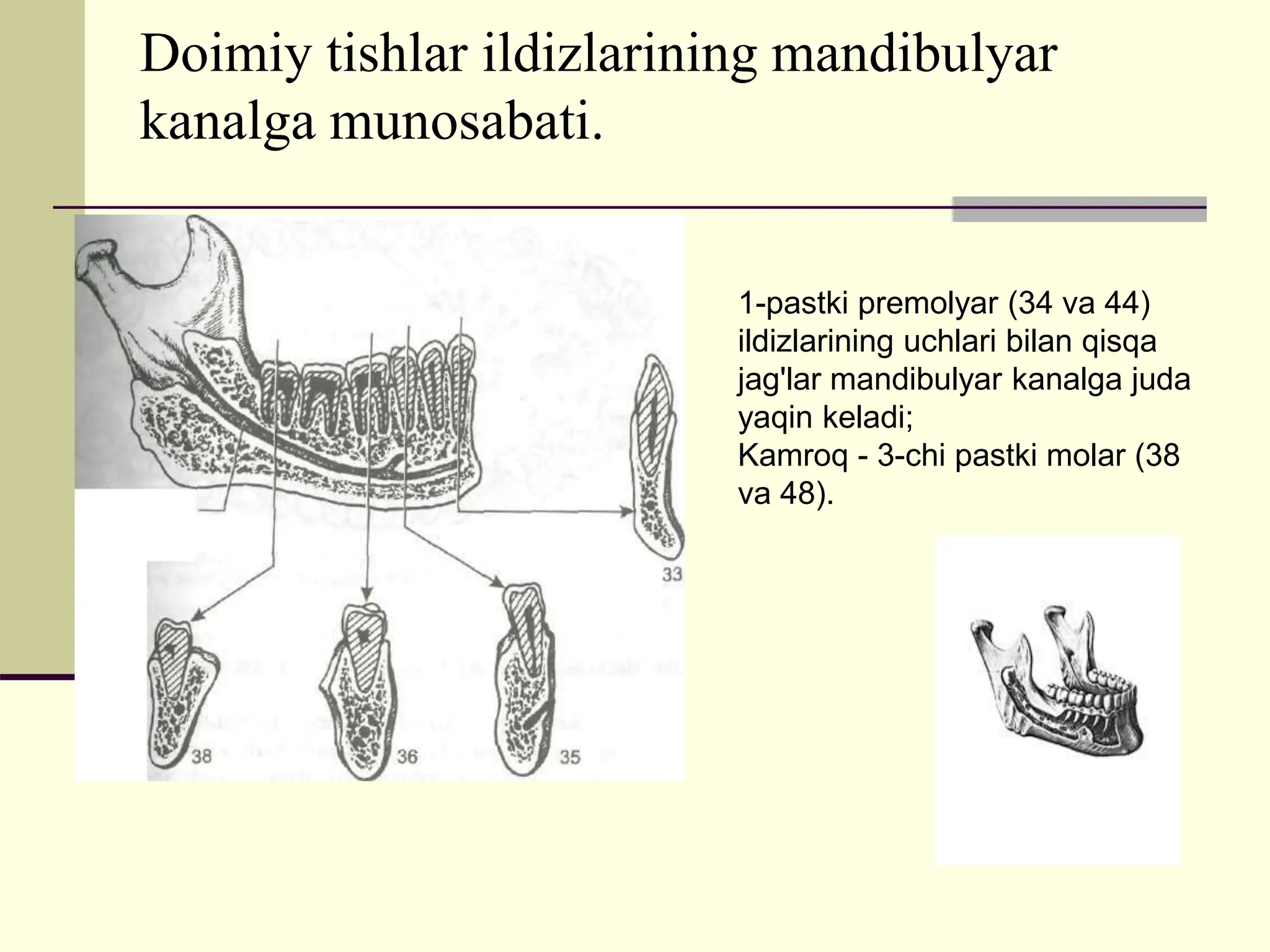 Lesbian porno sochlarini oldirish