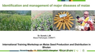 Identification and management of major diseases of maize
International Training Workshop on Maize Seed Production and Distribution in
Bhutan
November 13 - 15, 2023 | ARDC-Wengkhar, Mongar, Bhutan
Dr. Suresh, L.M.
Maize Pathologist, CIMMYT.
 