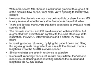 • With more severe MS, there is a continuous gradient throughout all
of the diastolic flow period, from mitral valve opening to mitral valve
closure
• However, the diastolic murmur may be inaudible or absent when MS
is very severe, due to the very slow flow across the mitral valve
• There are several maneuvers that have been used to evaluate heart
sounds in MS
• The diastolic murmur and OS are diminished with inspiration, but
augmented with expiration (in contrast to tricuspid stenosis). With
inspiration, the A2-OS interval widens and a distinct P2 may be
heard
• Increasing venous return (eg, by lying the patient down and lifting
the legs) augments the gradient; as a result, the diastolic murmur
lengthens while the A2-OS intervals shorten
• Similar changes are seen in response to exercise
• In contrast, reducing venous return with amyl nitrate, the Valsalva
maneuver, or standing after squatting shortens the murmur and
lengthens the A2-OS interval
 