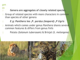 gen
us
Genera are aggregates of closely related species.
Group of related species with more characters in common
than species of other genera
E.g: Panthera leo ,P. pardus (leopard) ,P tigris
Animals which comes under genus Panthera shares several
common features & differs from genus Felis
Potato (Solanum tuberosam) & Brinjal (S. melongena)
 