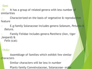 fami
ly It has a group of related genera with less number of
similarities
Characterized on the basis of vegetative & reproductive
feature
E.g:family Solanaceae includes genera Solanum, Petunia &
Datura.
Family Felidae includes genera Panthera (lion, tiger
,leopard) &
Felis (cat)
Order
Assemblage of families which exhibit few similar
characters
Similar characters will be less in number
Plants family Convolvulaceae, Solanaceae- order
 
