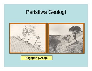 Peristiwa Geologi
Rayapan (Creep)
 