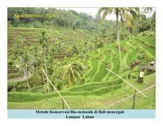 Agus Maryono, 2006
Metode Konservasi Bio-mekanik di Bali mencegah
Longsor Lahan
 
