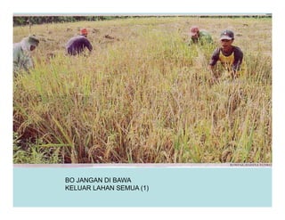 BO JANGAN DI BAWA
KELUAR LAHAN SEMUA (1)
 
