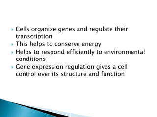 1. REGULATION OF GENE Expression-note .pptx