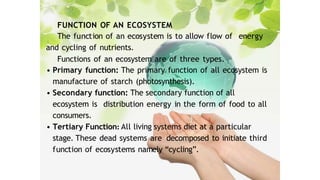 Conservation of Natural Resources Biodiversity.pptx