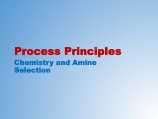 Process Principles
Chemistry and Amine
Selection
 