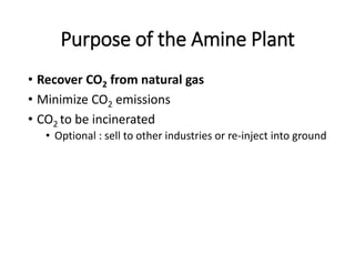 Purpose of the Amine Plant
• Recover CO2 from natural gas
• Minimize CO2 emissions
• CO2 to be incinerated
• Optional : sell to other industries or re-inject into ground
 