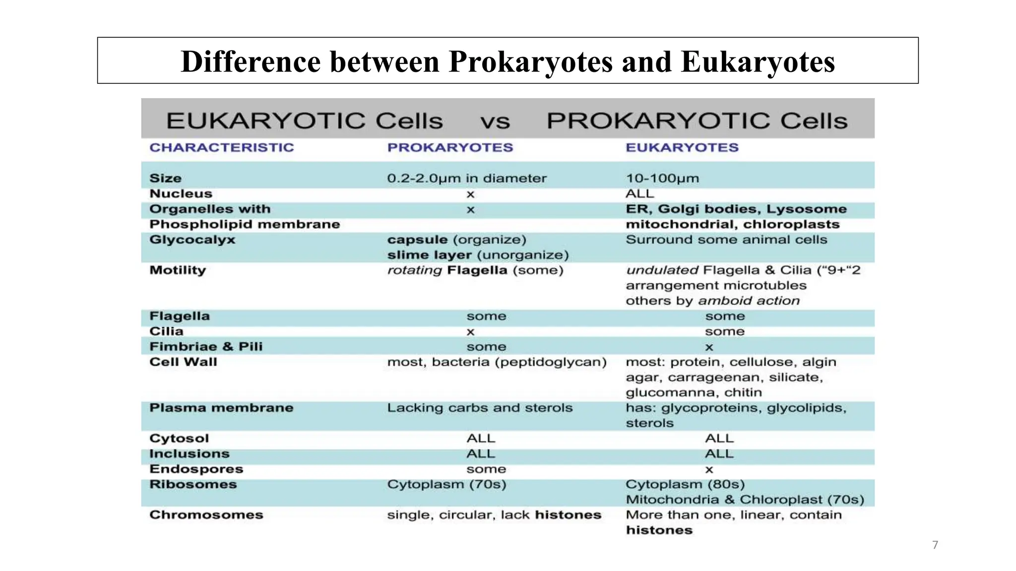 Introduction to prokaryotes and eukaryotes.pptx