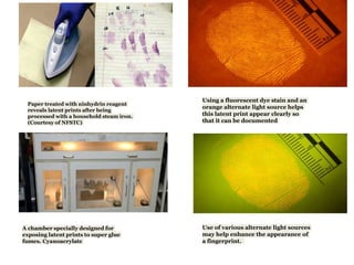 Paper treated with ninhydrin reagent
reveals latent prints after being
processed with a household steam iron.
(Courtesy of NFSTC)
Using a fluorescent dye stain and an
orange alternate light source helps
this latent print appear clearly so
that it can be documented
A chamber specially designed for
exposing latent prints to super glue
fumes. Cyanoacrylate
Use of various alternate light sources
may help enhance the appearance of
a fingerprint.
 