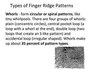 Types of Finger Ridge Patterns
Whorls - form circular or spiral patterns, like
tiny whirlpools. There are four groups of whorls:
plain (concentric circles), central pocket loop (a
loop with a whorl at the end), double loop (two
loops that create an S-like pattern) and
accidental loop (irregular shaped). Whorls make
up about 35 percent of pattern types.
 
