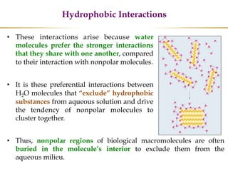 Hydrophobic Interactions
• These interactions arise because water
molecules prefer the stronger interactions
that they share with one another, compared
to their interaction with nonpolar molecules.
• It is these preferential interactions between
H2O molecules that “exclude” hydrophobic
substances from aqueous solution and drive
the tendency of nonpolar molecules to
cluster together.
• Thus, nonpolar regions of biological macromolecules are often
buried in the molecule’s interior to exclude them from the
aqueous milieu.
 