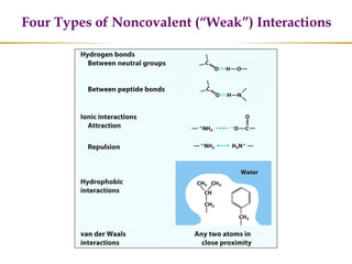Four Types of Noncovalent (“Weak”) Interactions
 