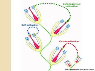 Floral Biology and Pollination Behavior of Crop Plants.pdf