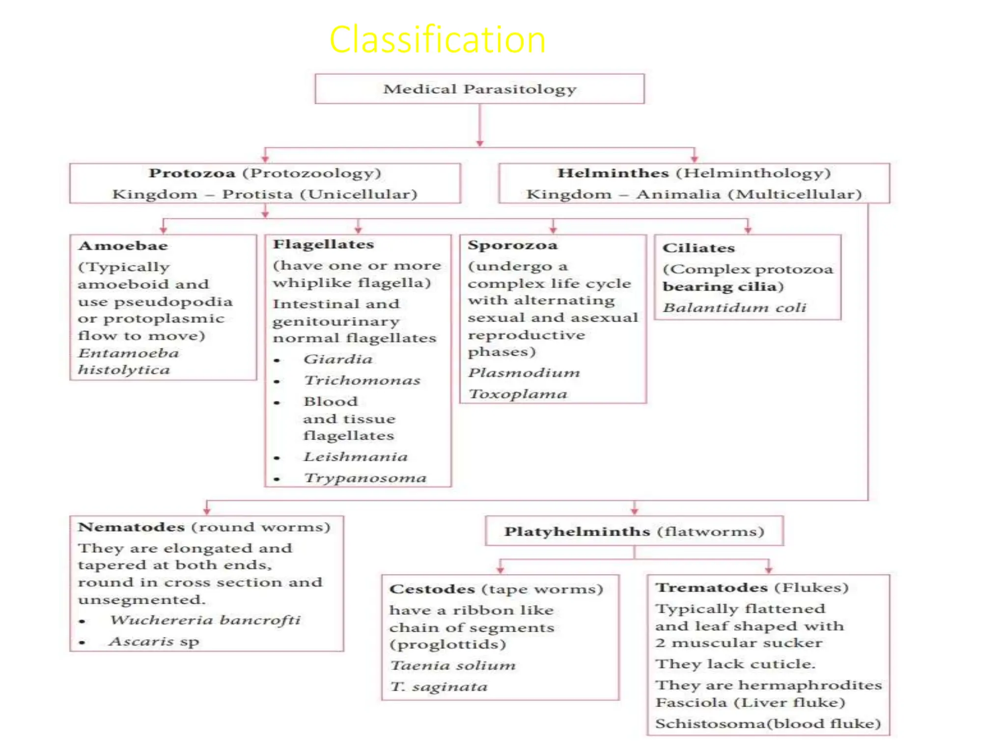 Classification
 