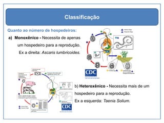 Quanto ao número de hospedeiros:
a) Monoxênico - Necessita de apenas
um hospedeiro para a reprodução.
Ex a direita: Ascaris lumbricoides.
Classificação
b) Heteroxênico - Necessita mais de um
hospedeiro para a reprodução.
Ex a esquerda: Taenia Solium.
 