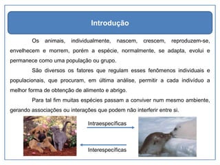 Os animais, individualmente, nascem, crescem, reproduzem-se,
envelhecem e morrem, porém a espécie, normalmente, se adapta, evolui e
permanece como uma população ou grupo.
São diversos os fatores que regulam esses fenômenos individuais e
populacionais, que procuram, em última análise, permitir a cada indivíduo a
melhor forma de obtenção de alimento e abrigo.
Para tal fim muitas espécies passam a conviver num mesmo ambiente,
gerando associações ou interações que podem não interferir entre si.
Introdução
Intraespecíficas
Interespecíficas
 