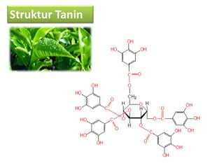 Komponen Fenolik pada Bahan Pangan yang ada di alam | PDF