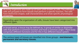 Introduction
All living organisms are made up of basic units known as cells. The individual
cells are grouped to form tissues that perform a specific function. The cells
have distinctive shapes, wall characteristics and show specific physiological
properties.
Depending upon the organization of cells, tissues have been categorized into
different types.
In broad sense, a tissue may be defined as, “a group of similar or dissimilar
cells that perform a common function and have a common origin.” Plant body
comprises different functions and for this it has different tissue system.
The various types of tissues are classified into three groups - meristematic,
permanent and secretary tissues.
 
