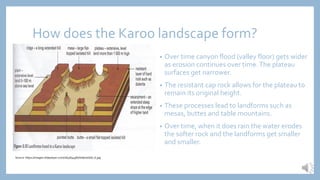 How does the Karoo landscape form?
• Over time canyon flood (valley floor) gets wider
as erosion continues over time.The plateau
surfaces get narrower.
• The resistant cap rock allows for the plateau to
remain its original height.
• These processes lead to landforms such as
mesas, buttes and table mountains.
• Over time, when it does rain the water erodes
the softer rock and the landforms get smaller
and smaller.
Source: https://images.slideplayer.com/16/4894987/slides/slide_6.jpg
 