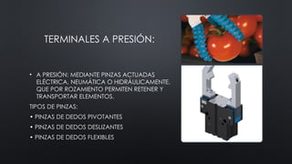 TERMINALES A PRESIÓN:
• A PRESIÓN: MEDIANTE PINZAS ACTUADAS
ELÉCTRICA, NEUMÁTICA O HIDRÁULICAMENTE,
QUE POR ROZAMIENTO PERMITEN RETENER Y
TRANSPORTAR ELEMENTOS.
TIPOS DE PINZAS:
• PINZAS DE DEDOS PIVOTANTES
• PINZAS DE DEDOS DESLIZANTES
• PINZAS DE DEDOS FLEXIBLES
 