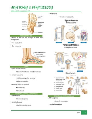 ANATOMY & PHYSIOLOGY
WEEK 4 (SEPT. 19-23, 2022) / PPT
8
YAP
ARCHES OF THE FEET
▪ Bones of the foot are arranged to form three
strong arches
▪ Two longitudinal
▪ One transverse
JOINTS
▪ Joints are articulations
▪ Occur where two or more bones meet
▪ Functions of joints
▪Hold bones together securely
▪ Allow for mobility
▪Two ways joints are classified
▪ Functionally
▪ Structurally
FUNCTIONAL JOINT CLASSIFICATIONS
▪ Synarthroses
▪ Immovable joints
▪ Amphiarthroses
▪ Slightly movable joints
▪ Diarthroses
▪ Freely movable joints
STRUCTURAL JOINT CLASSIFICA8
▪Fibrous joints
▪Generally immovable
▪ Cartilaginous joints
 