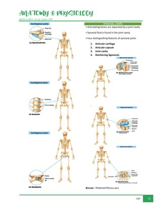 ANATOMY & PHYSIOLOGY
WEEK 4 (SEPT. 19-23, 2022) / PPT
10
YAP
SYNOVIAL JOINTS
▪ Articulating bones are separated by a joint cavity
▪ Synovial fluid is found in the joint cavity
▪ Four distinguishing features of synovial joints
1. Articular cartilage
2. Articular capsule
3. Joint cavity
4. Reinforcing ligaments
Bursae—flattened fibrous sacs
 