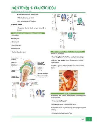 ANATOMY & PHYSIOLOGY
WEEK 4 (SEPT. 19-23, 2022) / PPT
11
YAP
▪ Lined with synovial membranes
▪ Filled with synovial fluid
▪ Not actually part of the joint
▪ Tendon sheath
▪Elongated bursa that wraps around a
tendon
TYPES OF SYNOVIAL JOINTS BASED ON SHAPE
▪ Plane joint
▪ Hinge joint
▪ Pivot joint
▪ Condylar joint
▪ Saddle joint
▪ Ball-and-socket joint DEVELOPMENTAL ASPECTS OF THE SKELETON
▪ Birth to adulthood
▪ First “long bones” of a fetus are hyaline cartilage
▪ Earliest “flat bones” of the fetal skull are fibrous
membranes
▪ As fetus grows, all bone models are converted to
bone
FETAL SKULL
▪Fontanels are fibrous membranes connecting the
cranial bones
▪ Known as “soft spots”
▪ Allow skull compression during birth
▪ Allow the brain to grow during later pregnancy and
infancy
▪ Usually ossify by 2 years of age
 