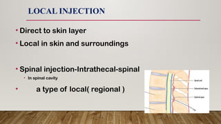 Spinal Injection Layers Introduction to Pharmacology- BSc nursing First year | PPTX