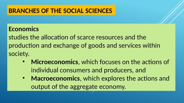 Different Branches of Social Sciences Ppt | PPTX