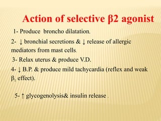 Action of selective β2 agonist
1- Produce broncho dilatation,
2- ↓ bronchial secretions & ↓ release of allergic
mediators from mast cells.
3- Relax uterus & produce V.D.
4- ↓ B.P. & produce mild tachycardia (reflex and weak
β1 effect).
5- ↑ glycogenolysis& insulin release .
 