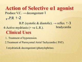 Action of Selective α1 agonist
1
-
Produce V.C. → decongestant
2
-
↑
P.R
,.
3
-
↑
B.P. (systolic & diastolic). → reflex
bradycardia
4-Active mydriasis (+ ve L.R.).
Clinical Uses
1. Treatment of hypotension.
2.Treatment of Paroxysmal Atrial Tachycardia ( PAT).
3.mydriatic& decongestant (phenylephrine).
 