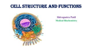 Cell structure and functions
Shivaputra Patil
Medical Biochemistry
 