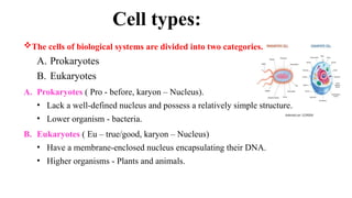 The cells of biological systems are divided into two categories.
A. Prokaryotes
B. Eukaryotes
A. Prokaryotes ( Pro - before, karyon – Nucleus).
• Lack a well-defined nucleus and possess a relatively simple structure.
• Lower organism - bacteria.
B. Eukaryotes ( Eu – true/good, karyon – Nucleus)
• Have a membrane-enclosed nucleus encapsulating their DNA.
• Higher organisms - Plants and animals.
Cell types:
 