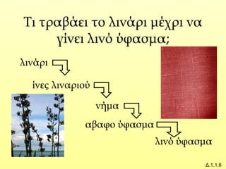 Τι τραβάει το λινάρι μέχρι να
γίνει λινό ύφασμα;
Δ.1.1.6
ίνες λιναριού
αβαφο ύφασμα
νήμα
λινάρι
λινό ύφασμα
 