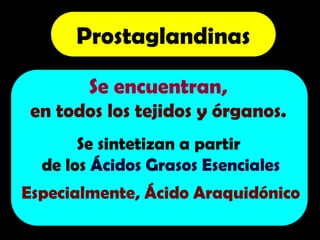 Se encuentran,
en todos los tejidos y órganos.
Se sintetizan a partir
de los Ácidos Grasos Esenciales
Especialmente, Ácido Araquidónico
Prostaglandinas
 