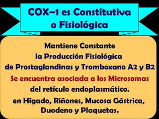 COX–1 es Constitutiva
o Fisiológica
Mantiene Constante
la Producción Fisiológica
de Prostaglandinas y Tromboxano A2 y B2
Se encuentra asociada a los Microsomas
del retículo endoplasmático.
en Hígado, Riñones, Mucosa Gástrica,
Duodeno y Plaquetas.
 