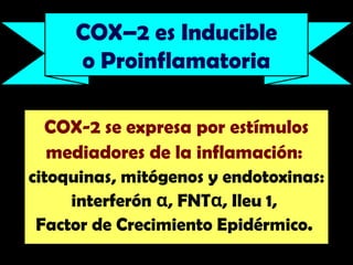 COX-2 se expresa por estímulos
mediadores de la inflamación:
citoquinas, mitógenos y endotoxinas:
interferón , FNT , Ileu 1,
α α
Factor de Crecimiento Epidérmico.
COX–2 es Inducible
o Proinflamatoria
 