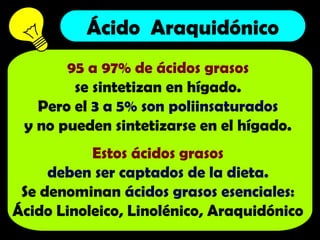 Ácido Araquidónico
95 a 97% de ácidos grasos
se sintetizan en hígado.
Pero el 3 a 5% son poliinsaturados
y no pueden sintetizarse en el hígado.
Estos ácidos grasos
deben ser captados de la dieta.
Se denominan ácidos grasos esenciales:
Ácido Linoleico, Linolénico, Araquidónico
 