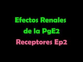 Efectos Renales
Efectos Renales
de la PgE2
de la PgE2
Receptores Ep2
Receptores Ep2
 