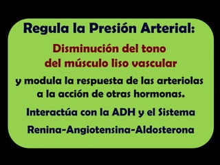 Regula la Presión Arterial:
Disminución del tono
del músculo liso vascular
y modula la respuesta de las arteriolas
a la acción de otras hormonas.
Interactúa con la ADH y el Sistema
Renina-Angiotensina-Aldosterona
 